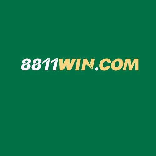 Logo da 8811WIN